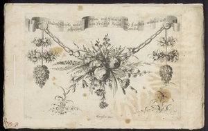 Annen ny festong av blomster og frukt av Friedrich Jacob Morisson