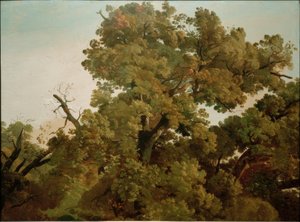  av Friedrich Nerly