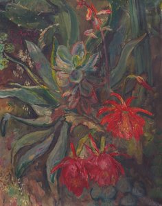 Blomstrende kaktuser av Friedrich Radler