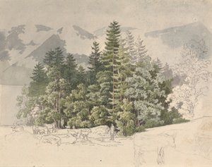 Alpint landskap (gouache over grafitt)