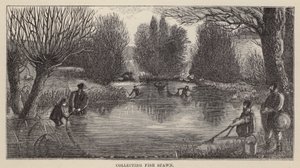 Samle fiskegyting (gravering) av Friedrich Specht