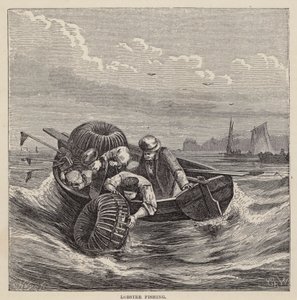 Hummerfiske (farget gravering) av Friedrich Specht
