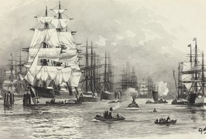 Seilskutehavn
