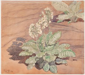 Dyrker cowpea i solskinn av Fritz Syberg