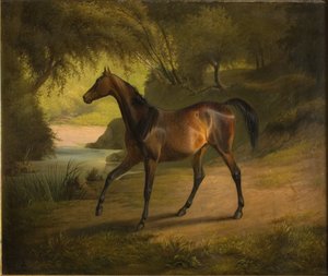 Antonia av Fritz Thomsen