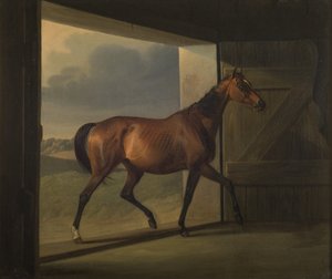 Jutta av Fritz Thomsen