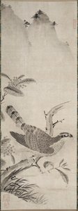 Hauk av Fujiwara Masayoshi