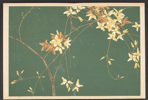Shasei sôka môyô, Mønstre av planter og blomster fra livet