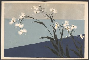 Shasei sôka môyô, Mønstre av planter og blomster fra livet
