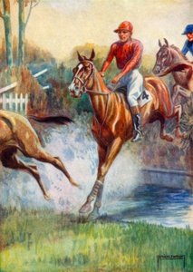 Illustrasjon for Black Beauty (farge litho)