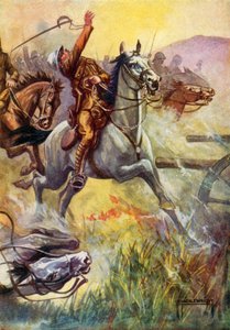 Illustrasjon for Black Beauty (farge litho)