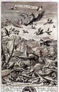 A Variety of Birds, illustrasjon fra bok 1, del 7, kapittel 20 av 