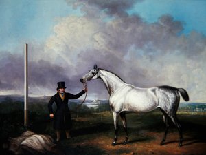 Gentleman holder en grå veddeløpshest på en bane (olje på lerret) av G. Jackson