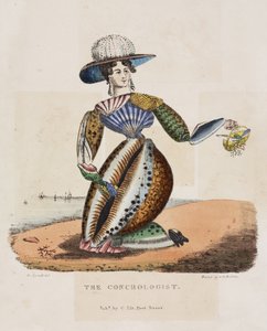 The Conchologist, ca. 1831