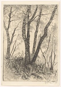 Trær i høyt gress av G. van der Mey (signed by artist)