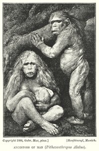 Forfedre til mennesket, Pithecanthropus Alalus (litho)