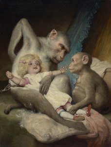 Antropologi leksjoner
