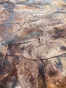  av Gabriela Aleksandra Szuba