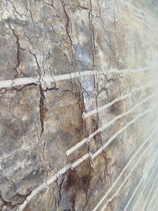  av Gabriela Aleksandra Szuba