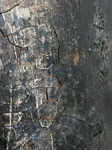  av Gabriela Aleksandra Szuba