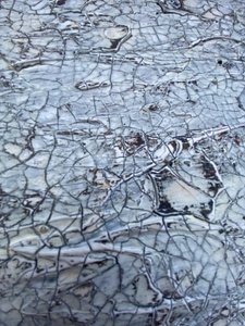  av Gabriela Aleksandra Szuba