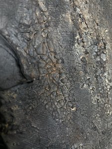  av Gabriela Aleksandra Szuba