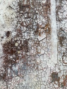  av Gabriela Aleksandra Szuba