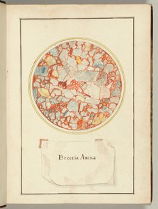  av Gaetano Piccini