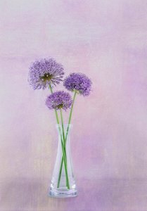  av Gaille Gray