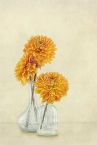  av Gaille Gray