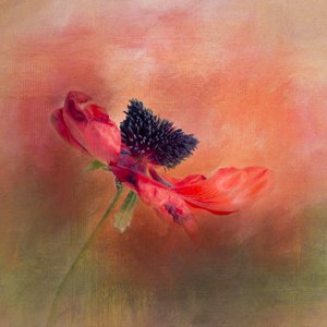  av Gaille Gray