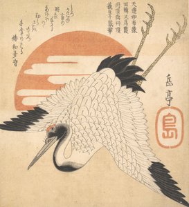 Hvit kran som flyr over solens skive, 1835.