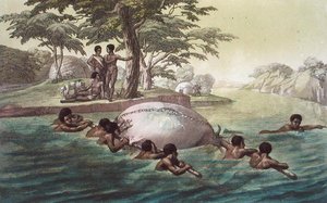 Gingri Tribesmen Crossing the River Zebee, plate 67 fra 
