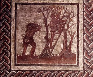 Gallo Roman Art: mosaikkbelegg som representerer en rustikk kalender. Olivenplukkingsscene. Slutt 2., begynnelsen av 3. århundre etter JC. Fra Saint-Romain-en-Gal (Rhône). Saint Germain en Laye, Nasjonalmuseet for arkeologi av Gallo Roman