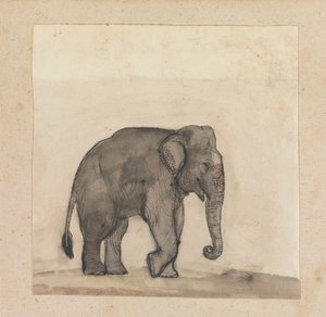 Elefant av Gangaram Chintaman Tambat