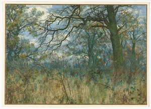 Trær og undervekst, 1885. av Garden William Fraser