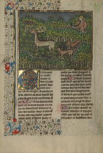 Jaktens bok av Gaston Phébus