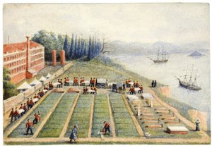 Gravplassen ved General Hospital, Scutari, april 1855 av General E.W. Wray