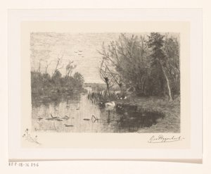 Ender langs og på bredden av en sølepytt Andetiss (original tittel) av Geo Poggenbeek (signed by artist)