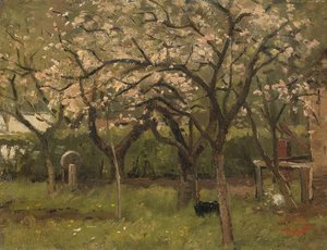 Blomstrende tre i en frukthage