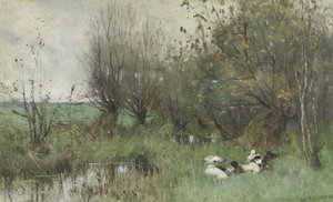 Ender ved en pilelund