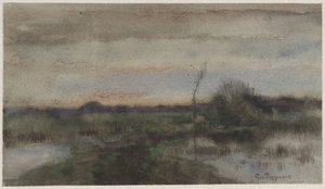 Sumplandskap med solnedgang av Geo Poggenbeek