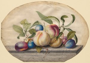 Fruktarrangement: Fersken og lodd på en marmorplate, 1742. av Georg Dionysius Ehret