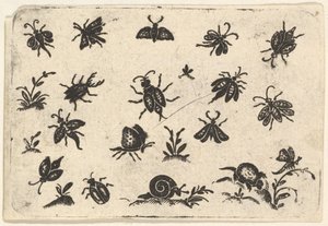 Små motiver av insekter og planter, 1596. av Georg Herman