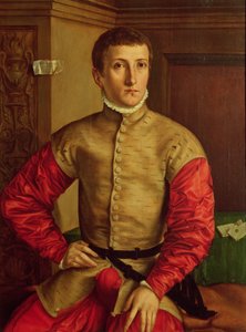 Portrett av en ung mann, 1544
