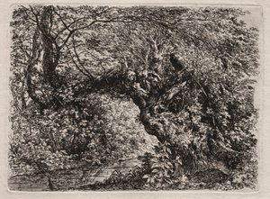 The Old Willow at a Brook, 1794. av Georg von Dillis