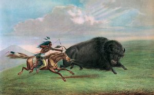 Trykk etter Buffalo Hunt av George Catlin, ca. 1920 (skjermtrykk) av George (after) Catlin