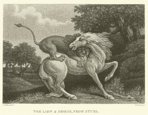 Løven og hesten, fra stubber (gravering)