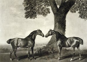 To jegere, gravert av G.T. Stubbs (bap.1748-c.1815) (litho) (se også 266802)
