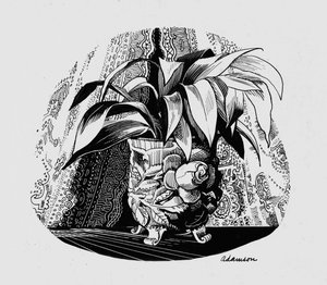 Aspidistra in a Bowl, 1950-tallet (indisk blekk på skrapebrett) av George Adamson